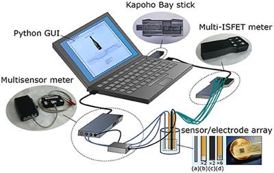 Real-Time Edge Neuromorphic Tasting From Chemical Microsensor Arrays